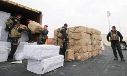 Combating Illicit Drug Trafficking and Treating Drug Abusers in Iraq
