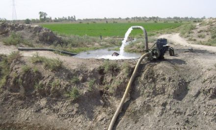 The Importance of Fixing Iraq’s Irrigation