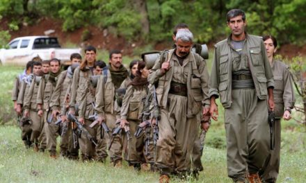 The PKK in Iraq: A Geopolitical Reading